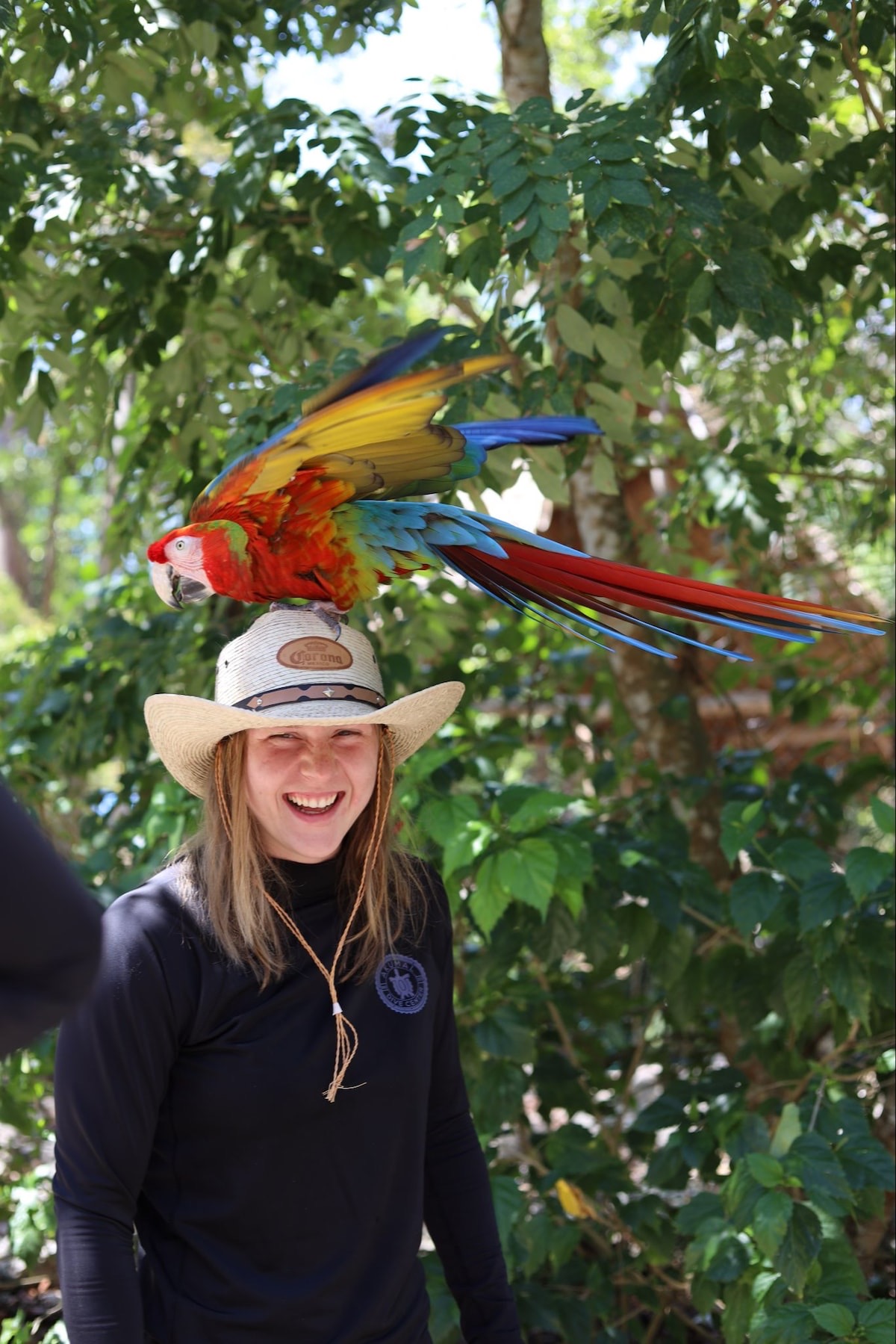 santuario guacamaya 2