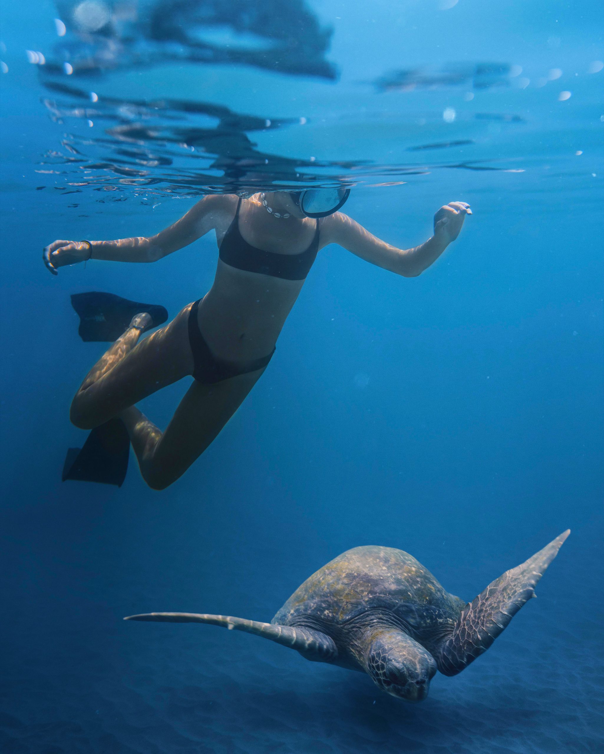snorkeling day playa del carmen