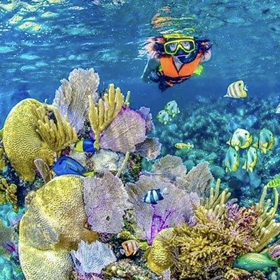 BEST-EXPERIENCES-IN-MEXICO