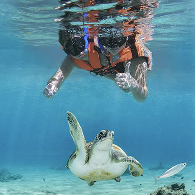 SNORKELING-SPOT-MEXICO