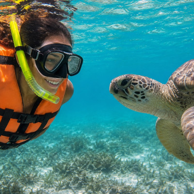 Akumal Bay snorkeling, plus 3 cenotes and great food 00
