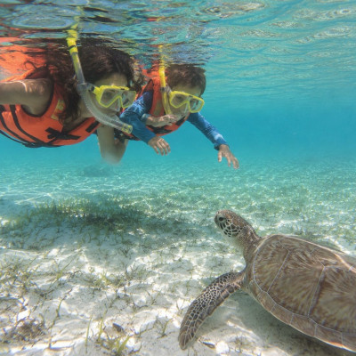 Discover the Soul of Cancun